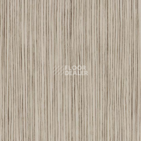 Линолеум Forbo Sarlon Wood 19dB 311T4319 light grey zebrano фото 1 | FLOORDEALER